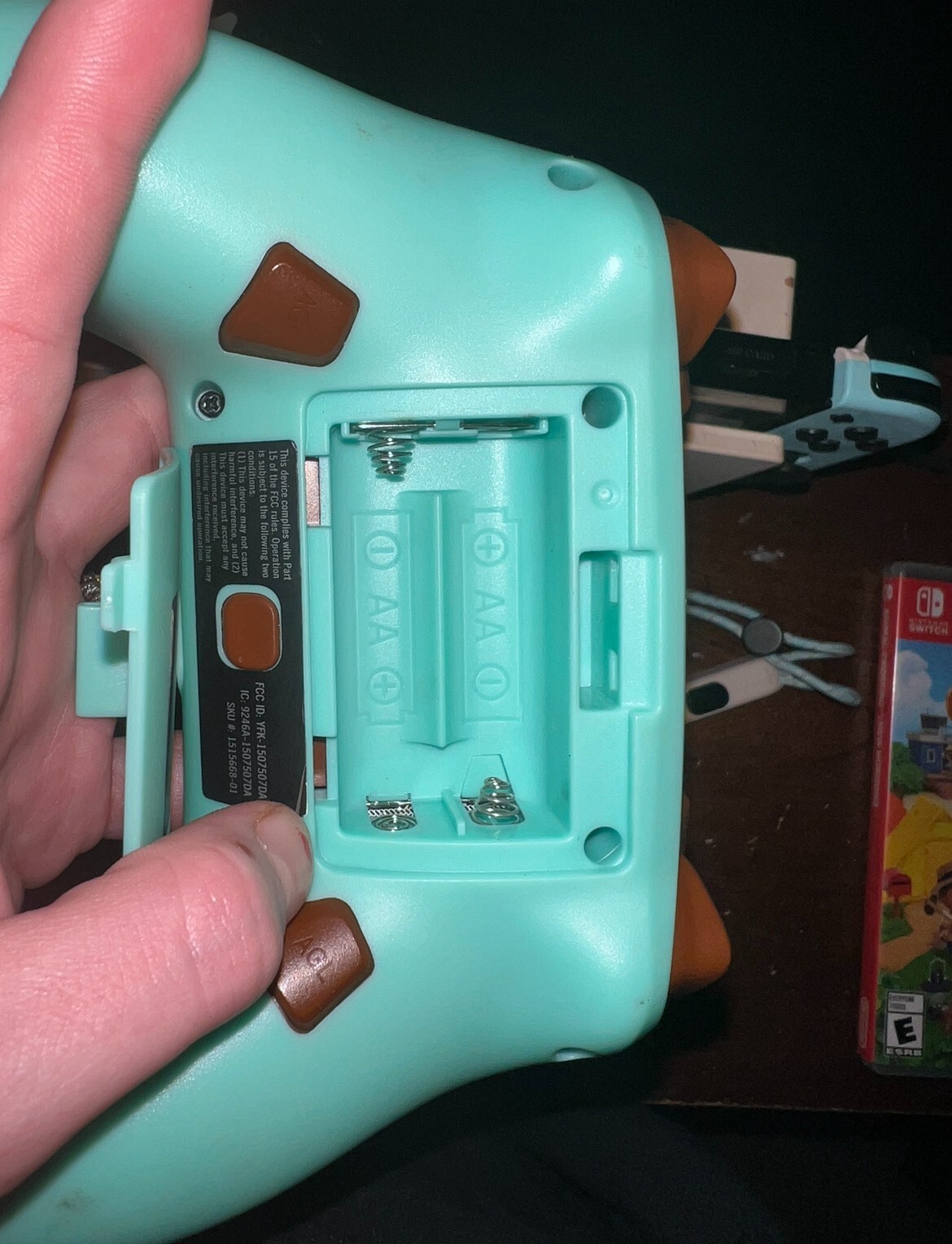 Nintendo Switch Animal Crossing Special Edition Console