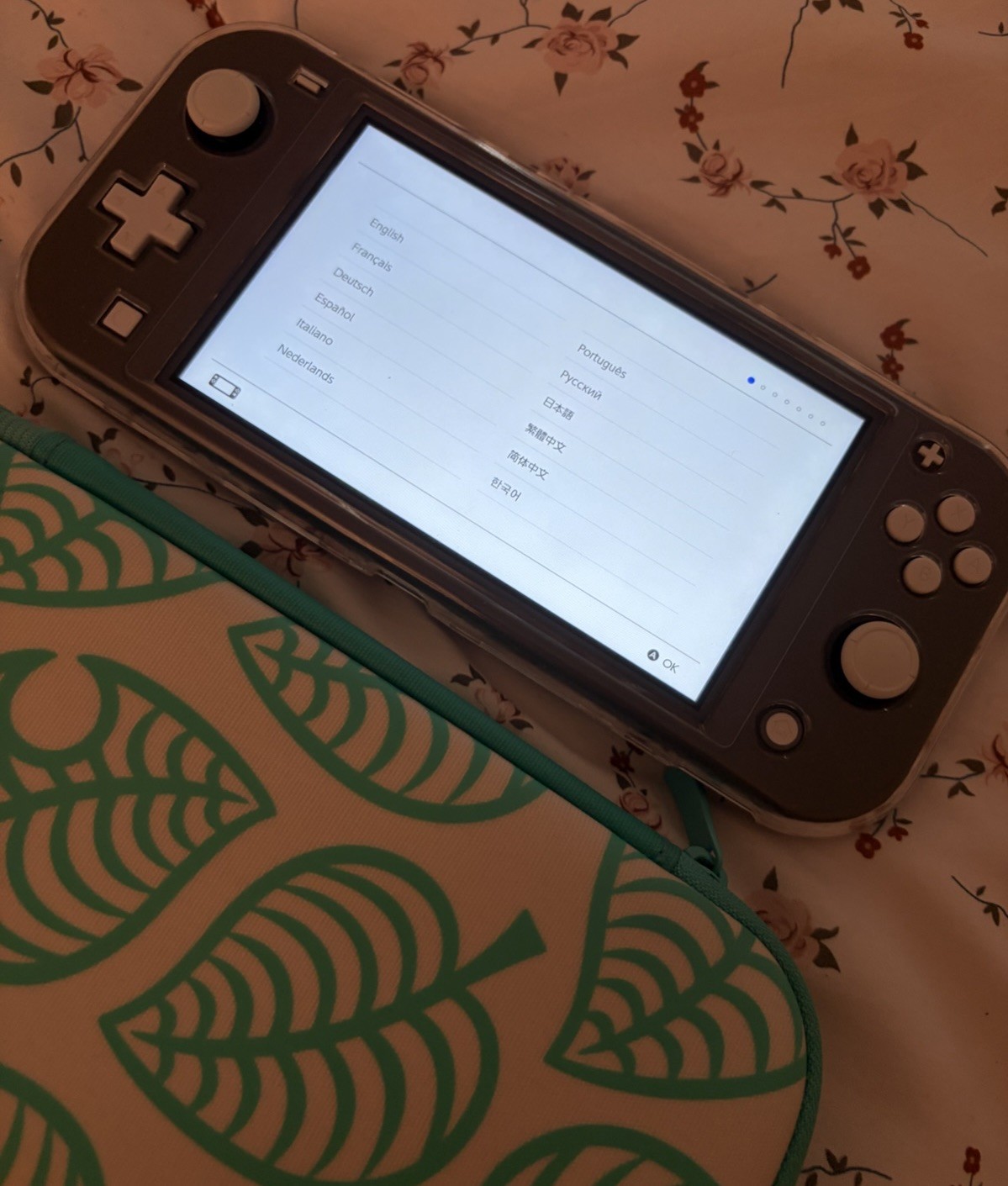 Nintendo Switch Lite Gray With Travel Case & 128 GB SD Card Adult Owned NWOB!