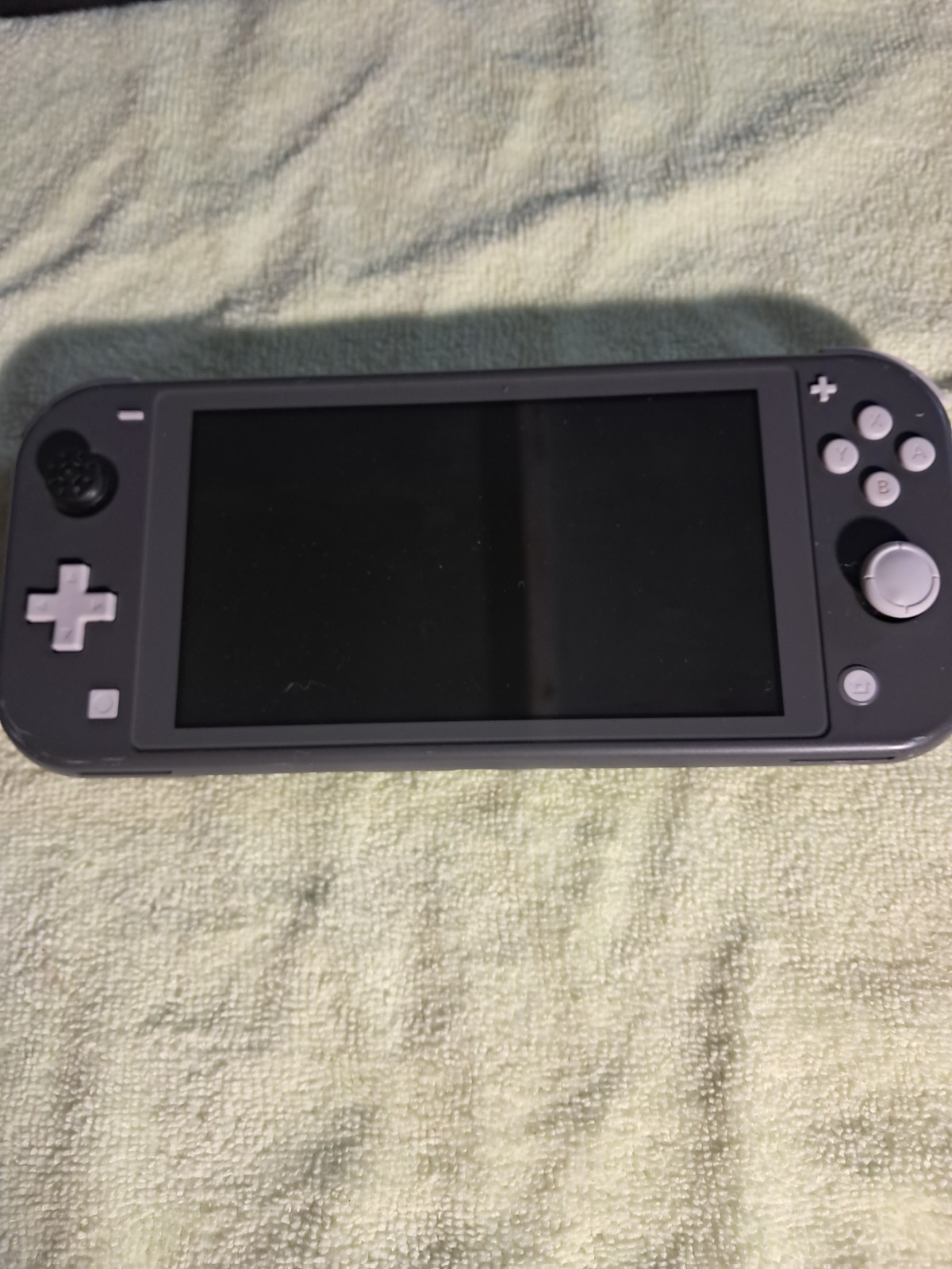 Nintendo Switch Lite Gray Handheld System
