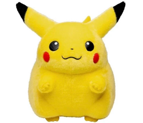 Additional shipping fee –