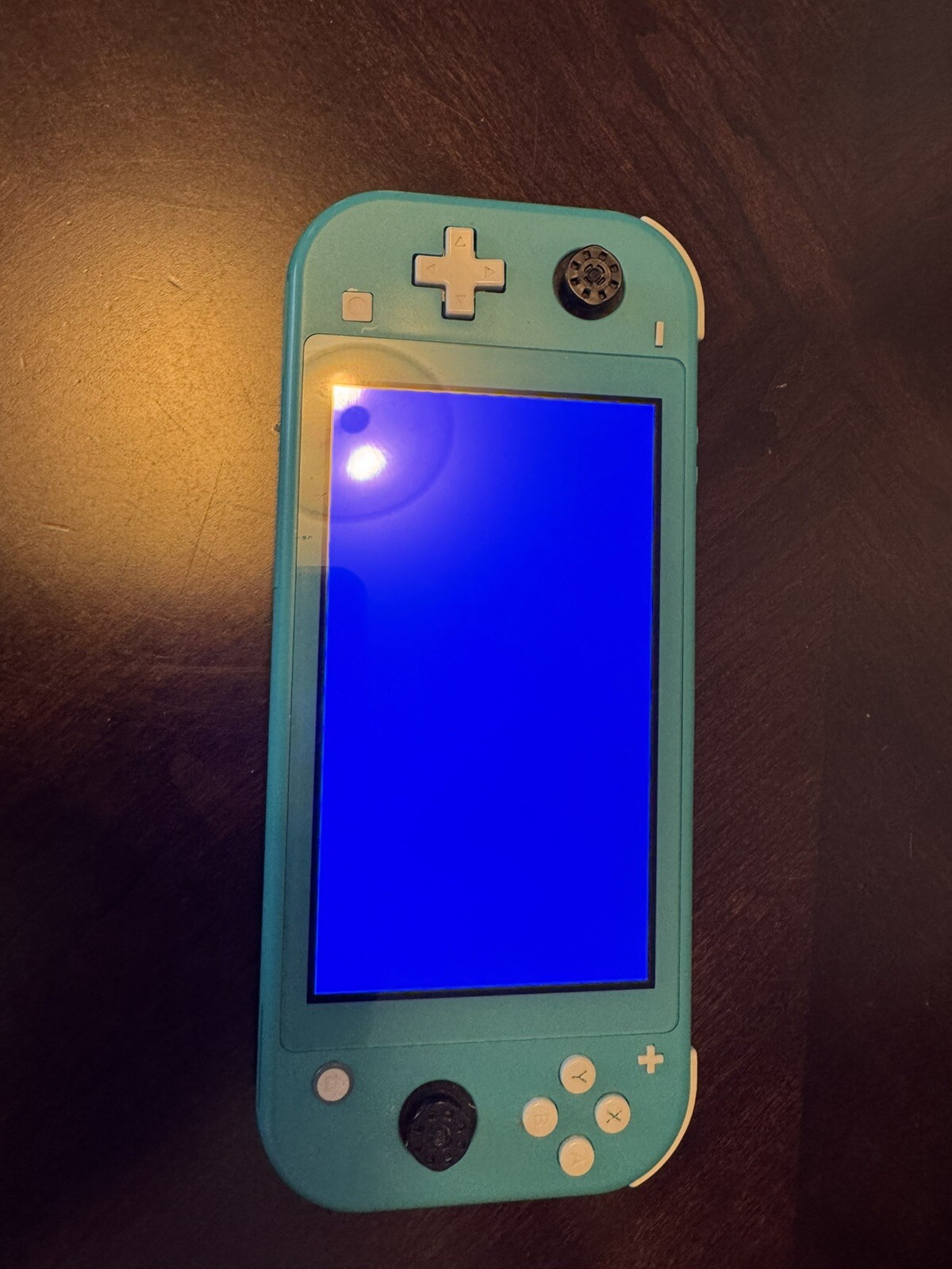 Nintendo Switch Lite Turquoise Console (HDH001) Parts As Is Blue Screen