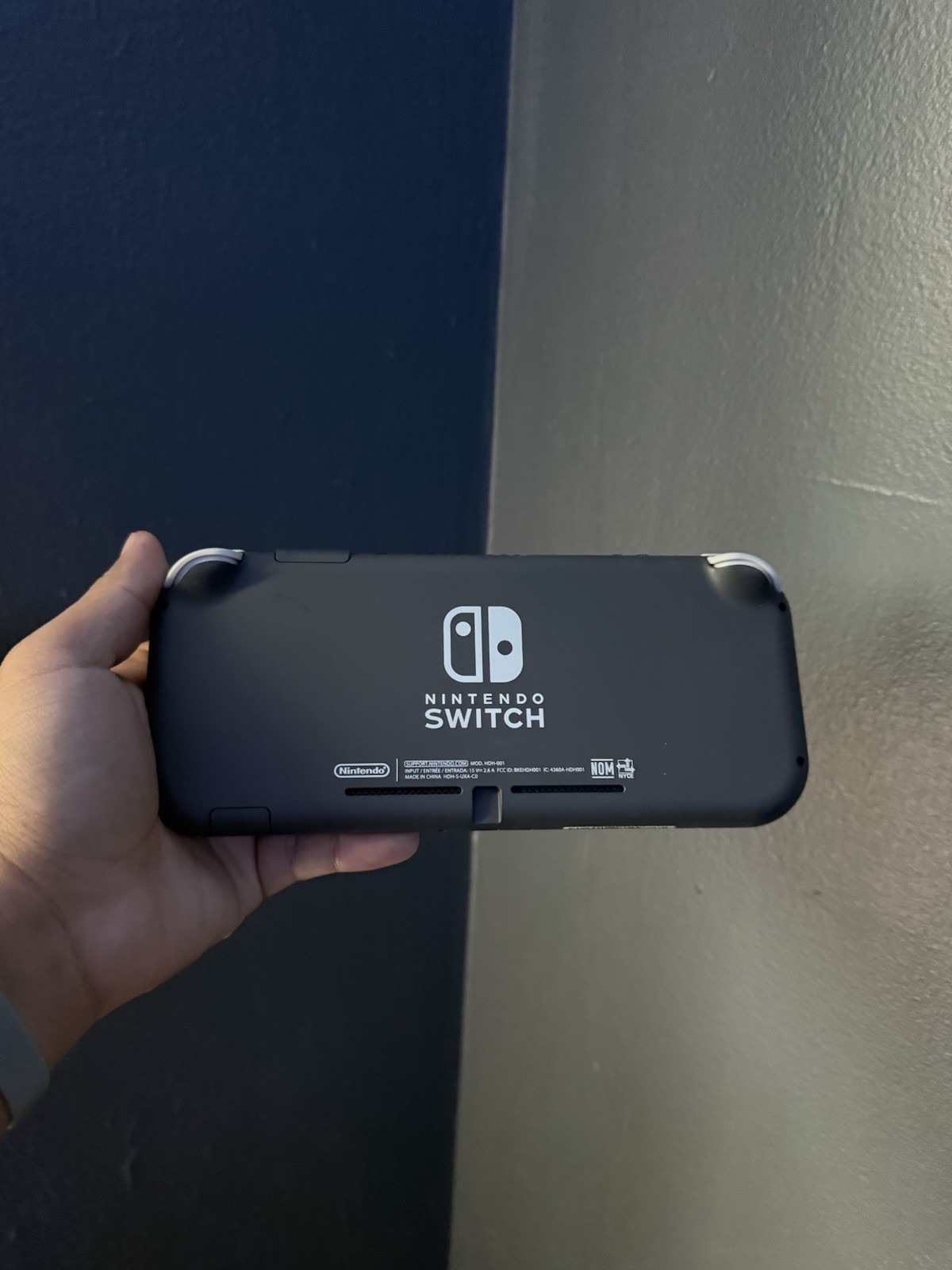 Nintendo Switch Lite Gray Handheld System