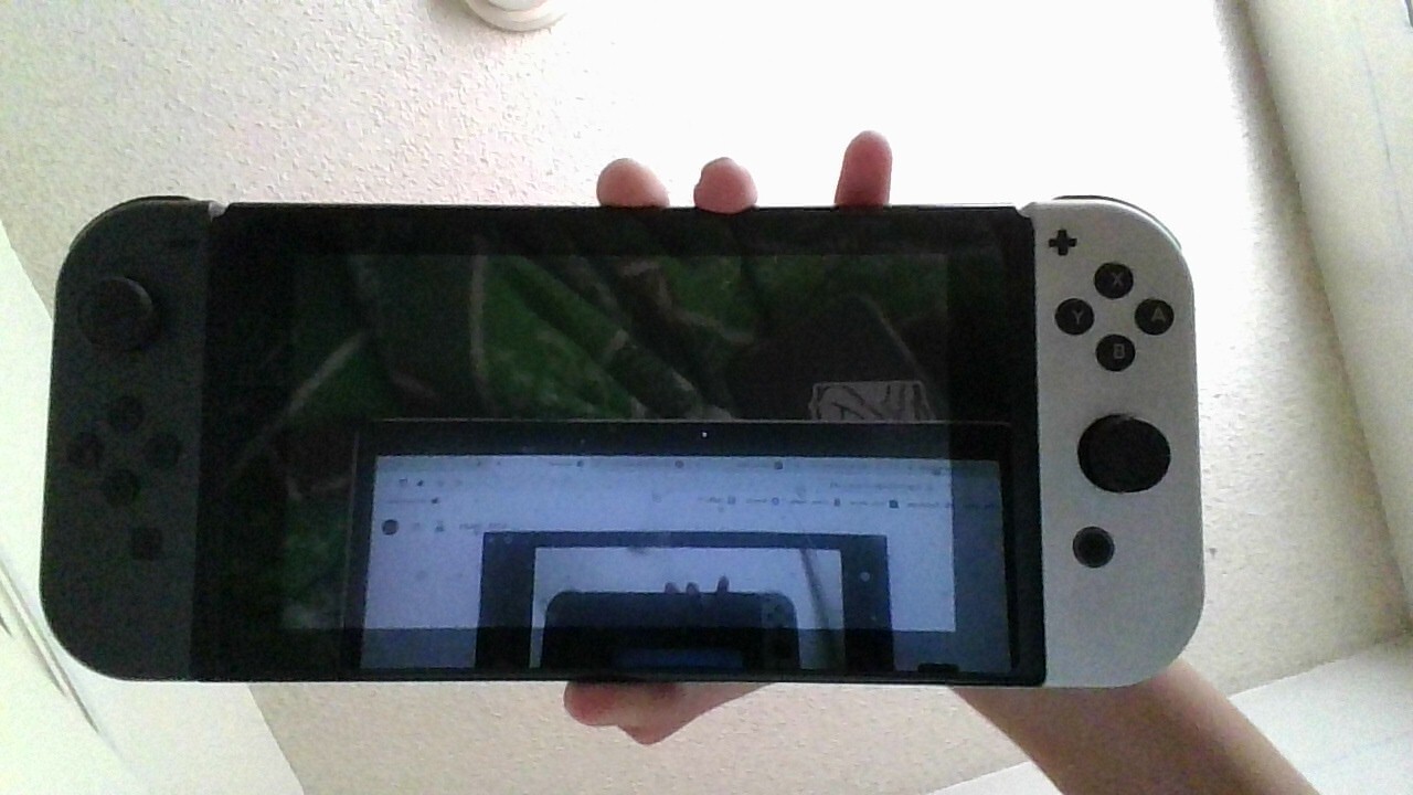 Nintendo Switch Handheld Console – black and white controllers works good