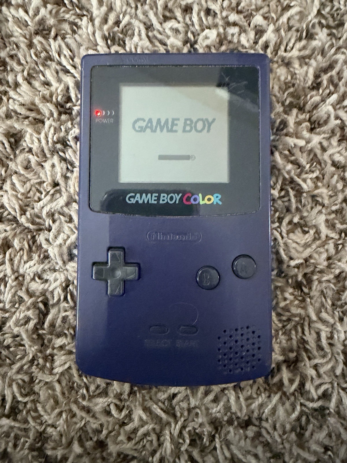 Nintendo Game Boy Color Grape Handheld System
