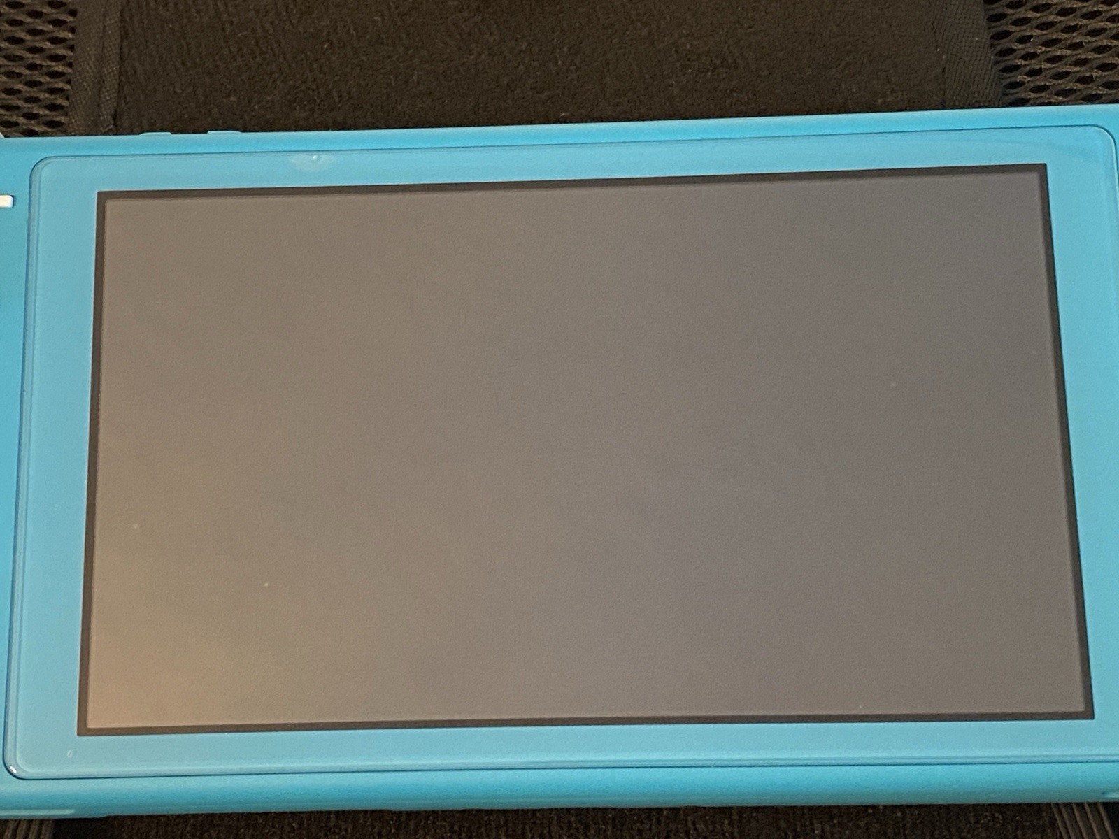 Nintendo Switch Lite Turquoise Handheld Console Case /Charger /Big Brain Game