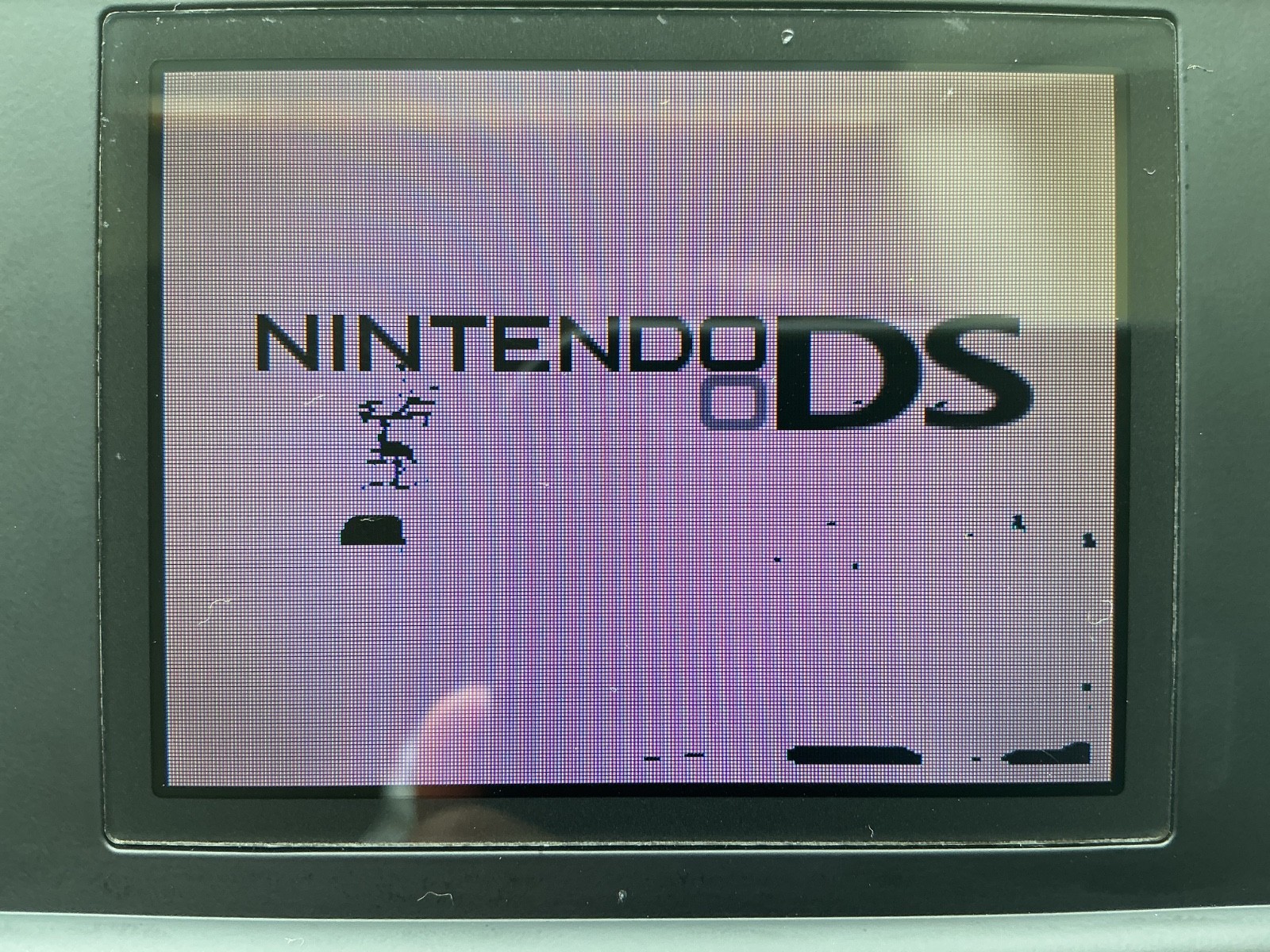 nintendo ds lite clear purple