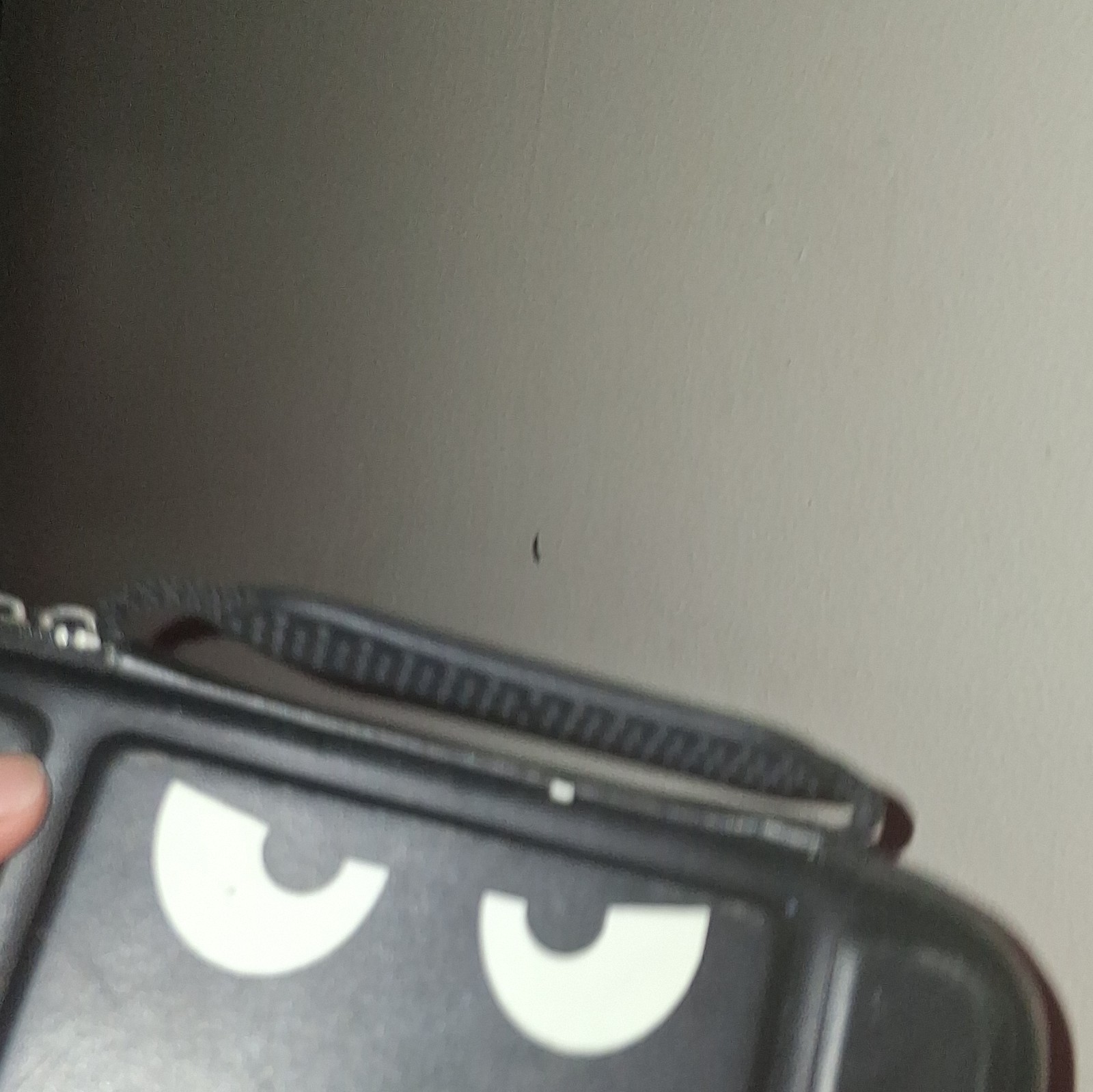 Nintendo Switch Carrying Case