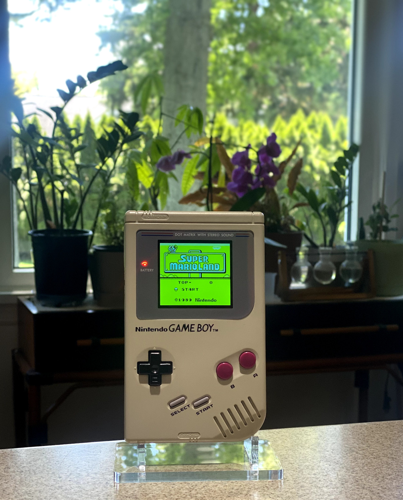 Game Boy Original DMG V5 RIPS IPS LCD UPGRADE – Send in Service – Pick Color