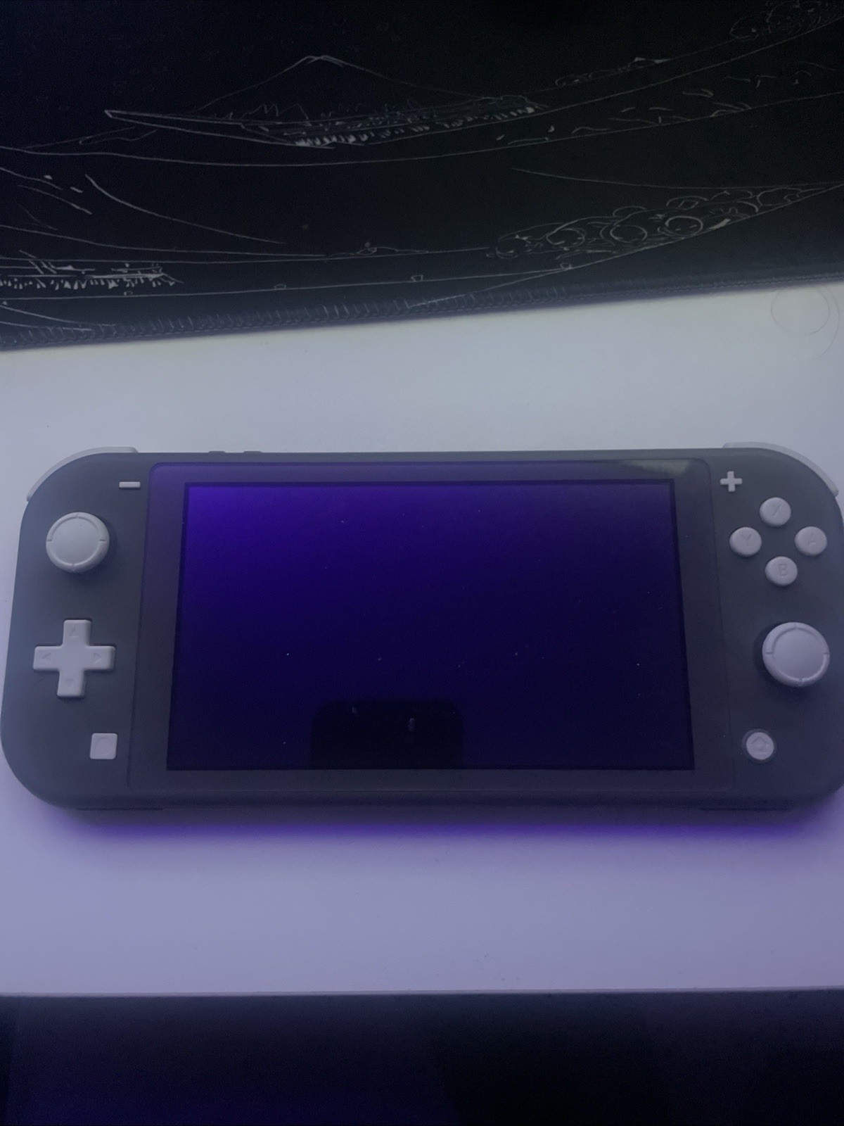 Nintendo Switch Lite Gray Handheld System