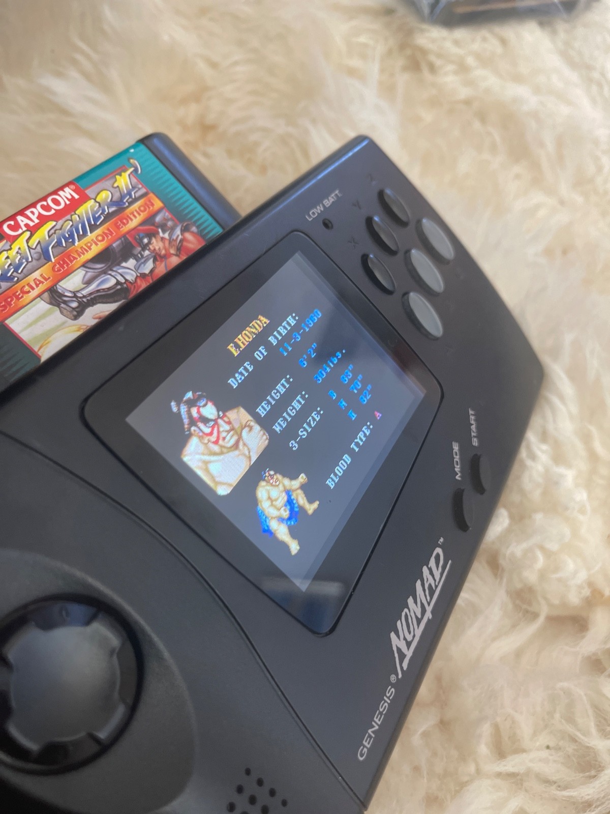 Sega Nomad