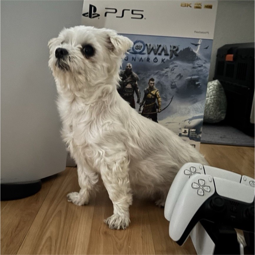 Sony PlayStation 5 PS5 God of War Ragnarok Bundle 825GB 4K HDR 2 Controllers
