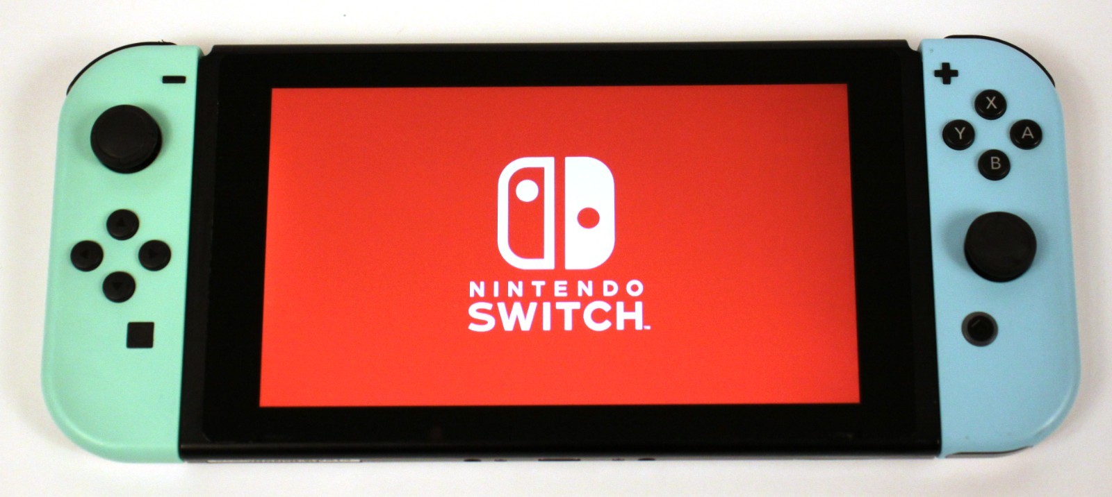 Nintendo Switch Animal Crossing New Horizon Special Edition Console