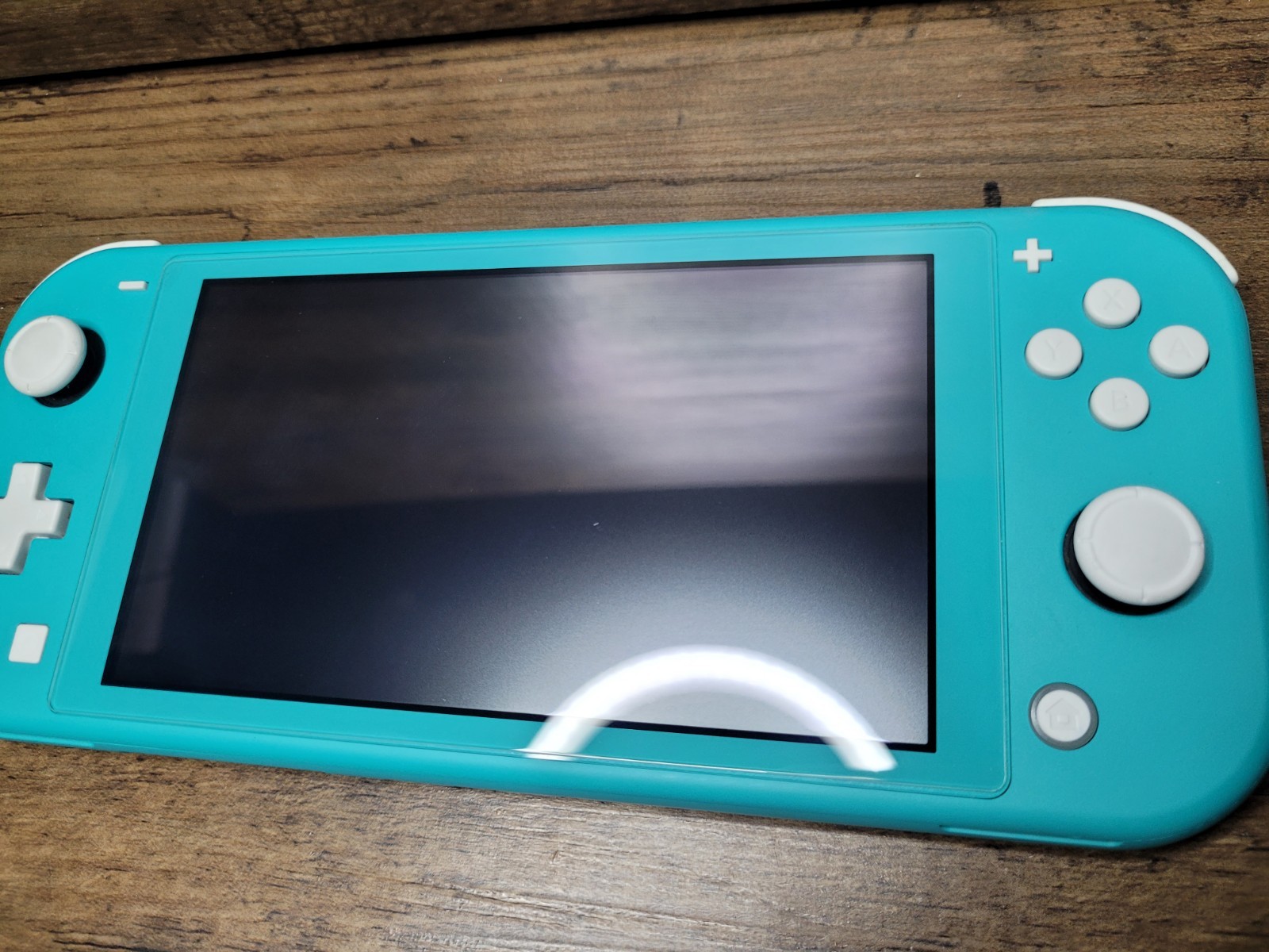 Nintendo Switch Lite Teal Turquoise Blue, OEM Charger, Case, Tested Works