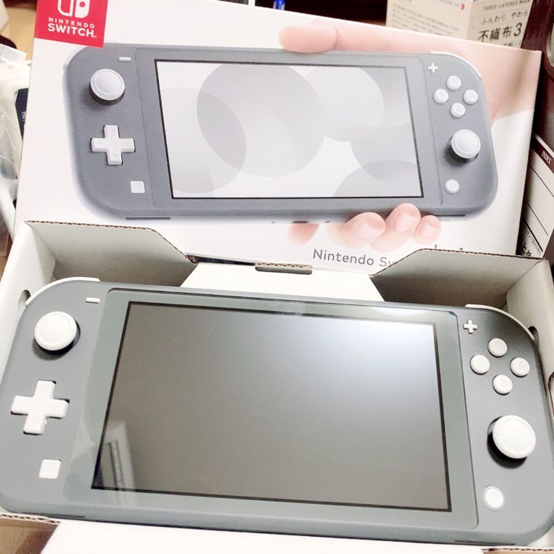 Switch Lite console with case switch light gray
