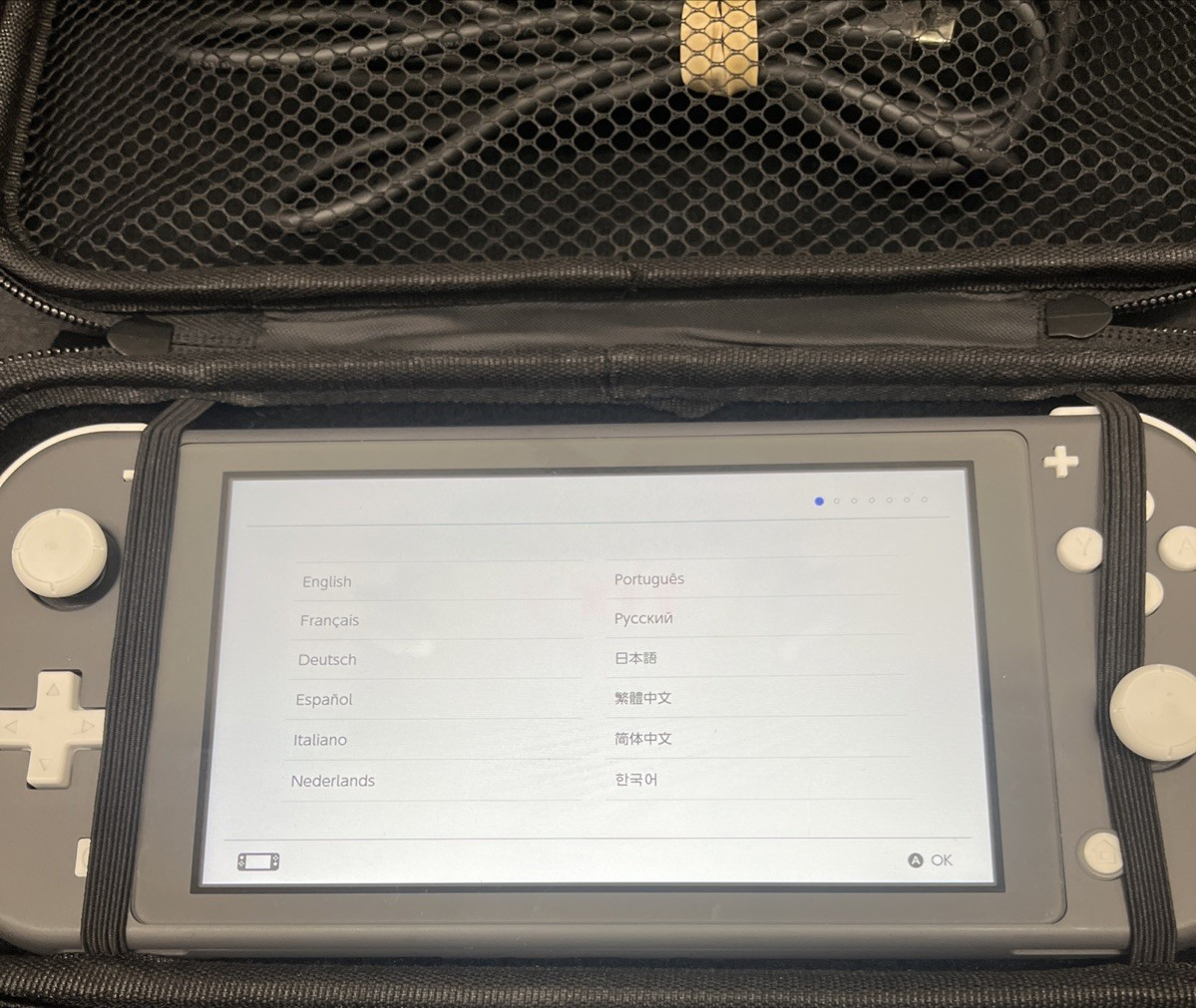 Nintendo Switch Lite Gray Handheld System