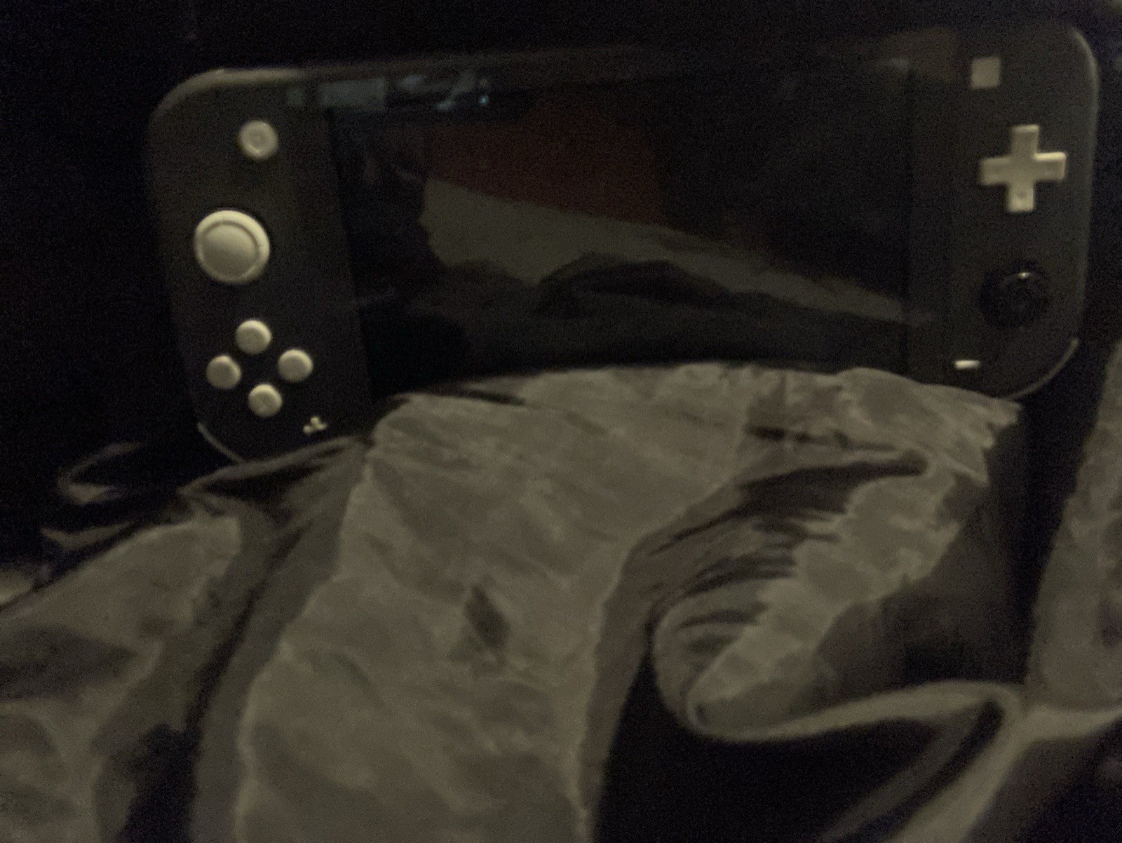Nintendo Switch Lite Gray Handheld System with protective case