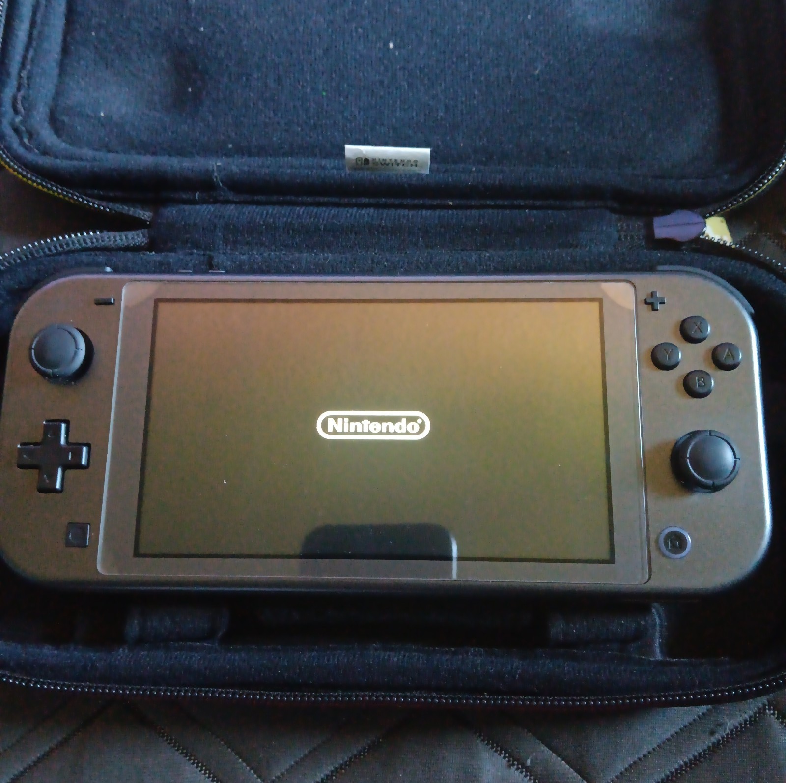 Nintendo Switch Lite Gray Console, Pokémon Dialga Palkia Edition