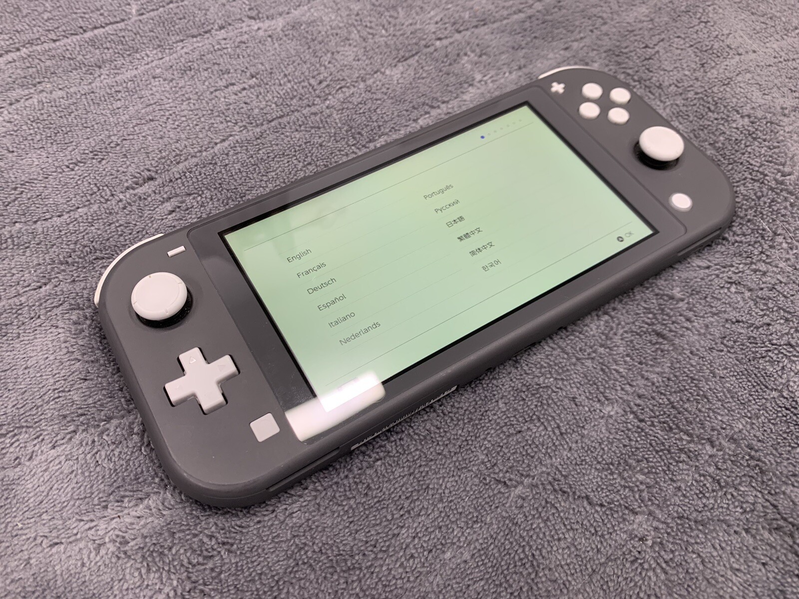 Nintendo Switch Lite Gray Handheld System (CHARGER INCLUDED) – TESTED, WORKING