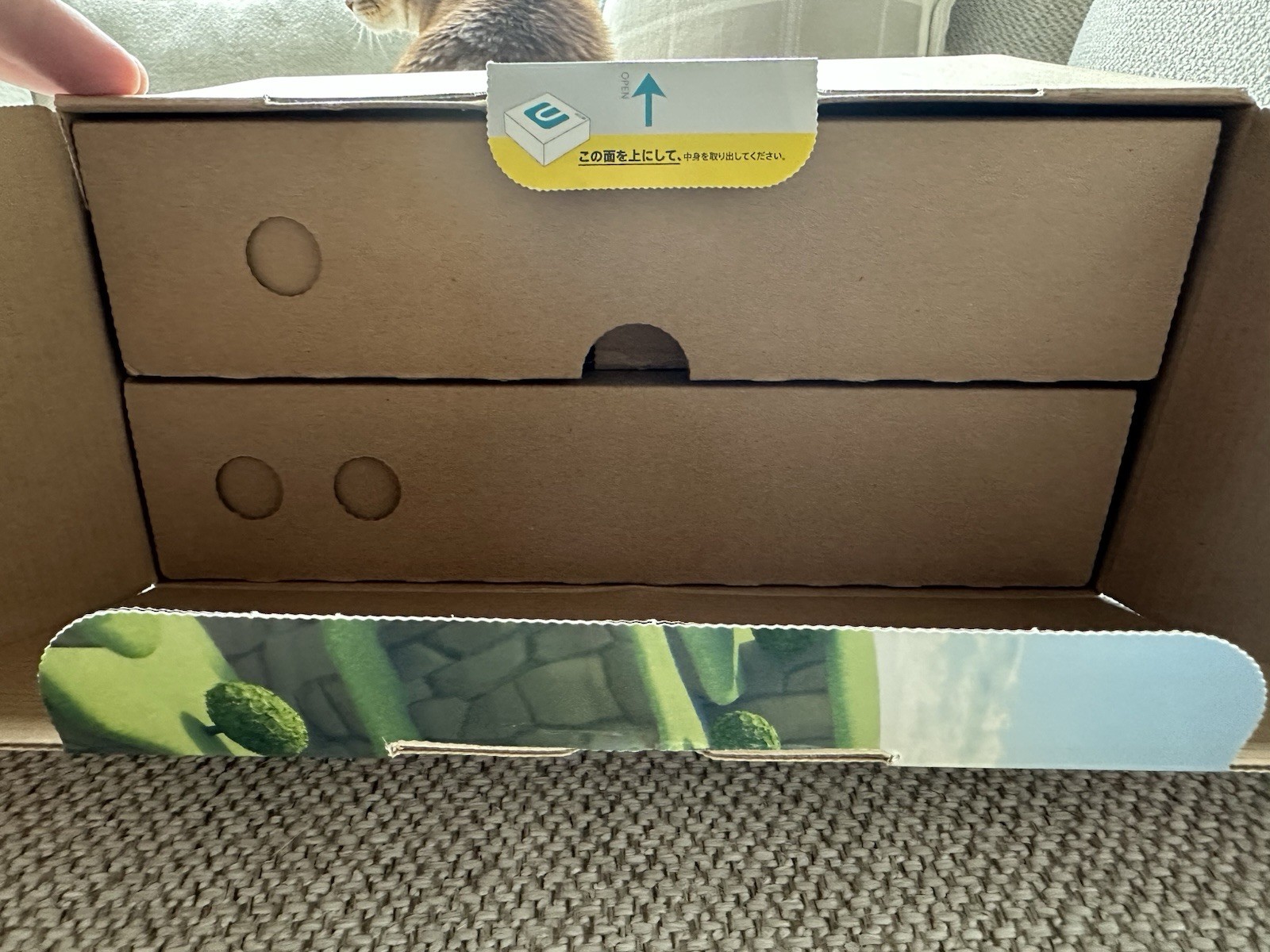 Nintendo Wii U 32GB Console Mario Kart 8 Set White Complete In Box (NTSC-J)