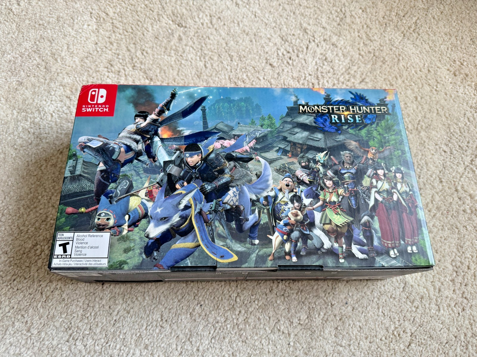 Nintendo Switch MONSTER HUNTER RISE Deluxe Edition System