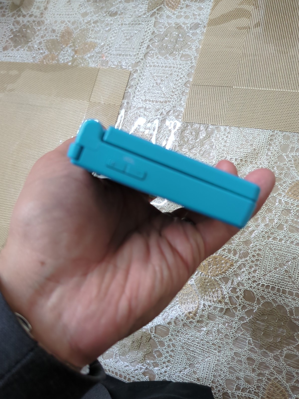 Nintendo DSi Console with Charger | English