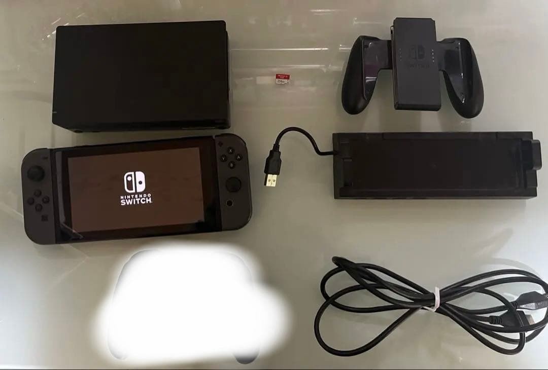 Switch Large Capacity SD 256G etc.