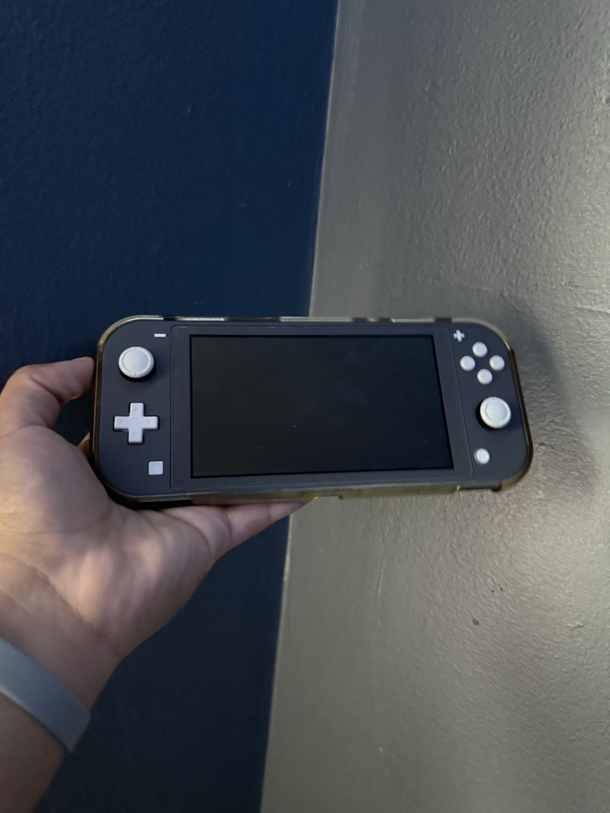 Nintendo Switch Lite Gray Handheld System