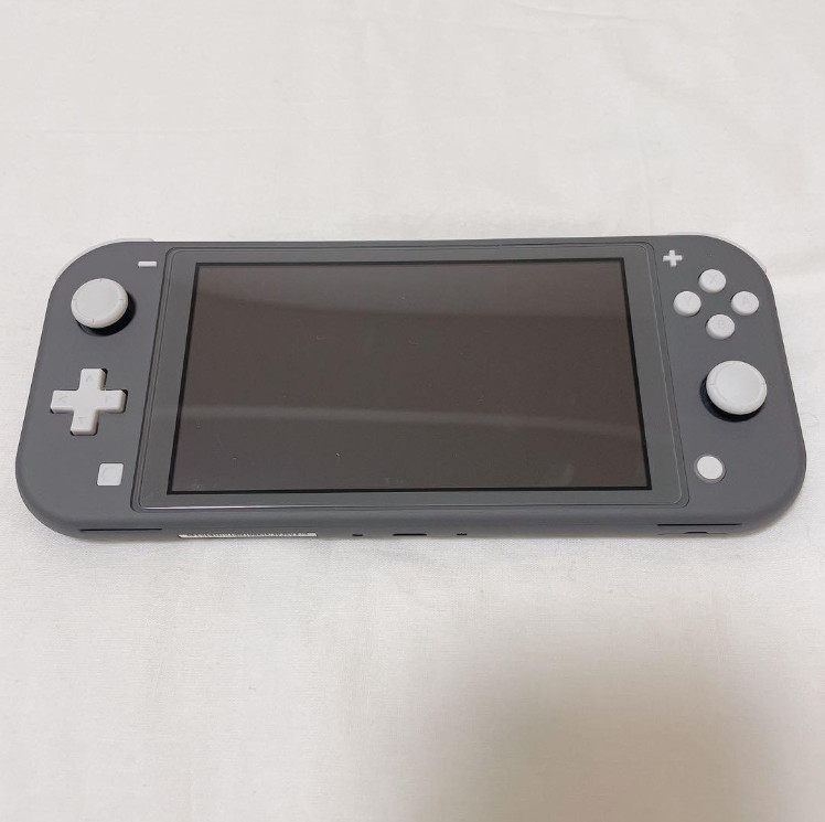 Used Excellent Nintendo Switch Lite HDH-001 Gray + Genuine AC Adapter Japan F/S