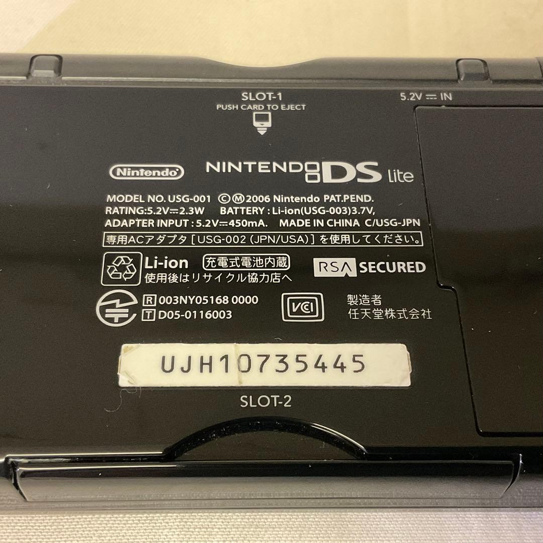 Nintendo DS Lite console with AC adapter