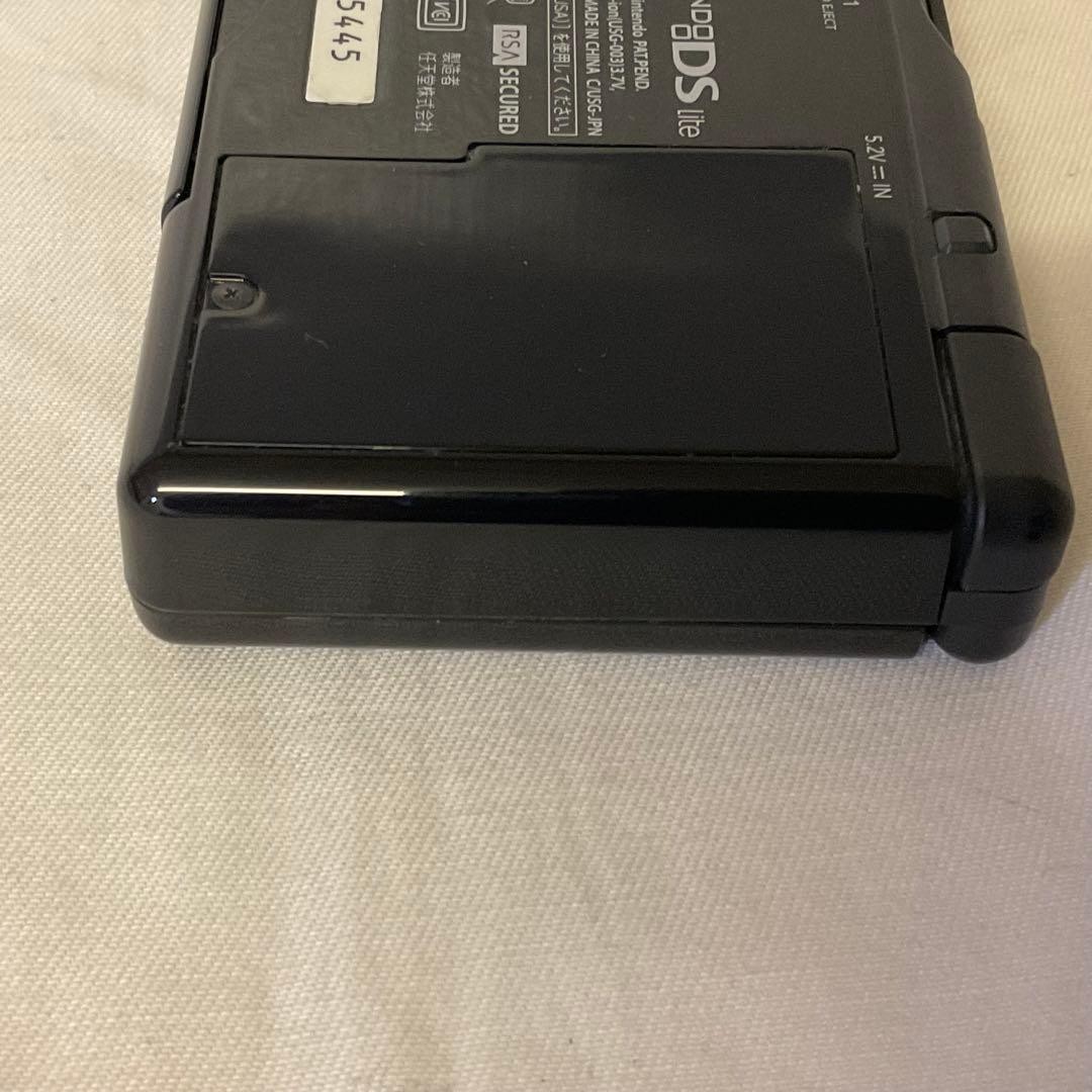 Nintendo DS Lite console with AC adapter