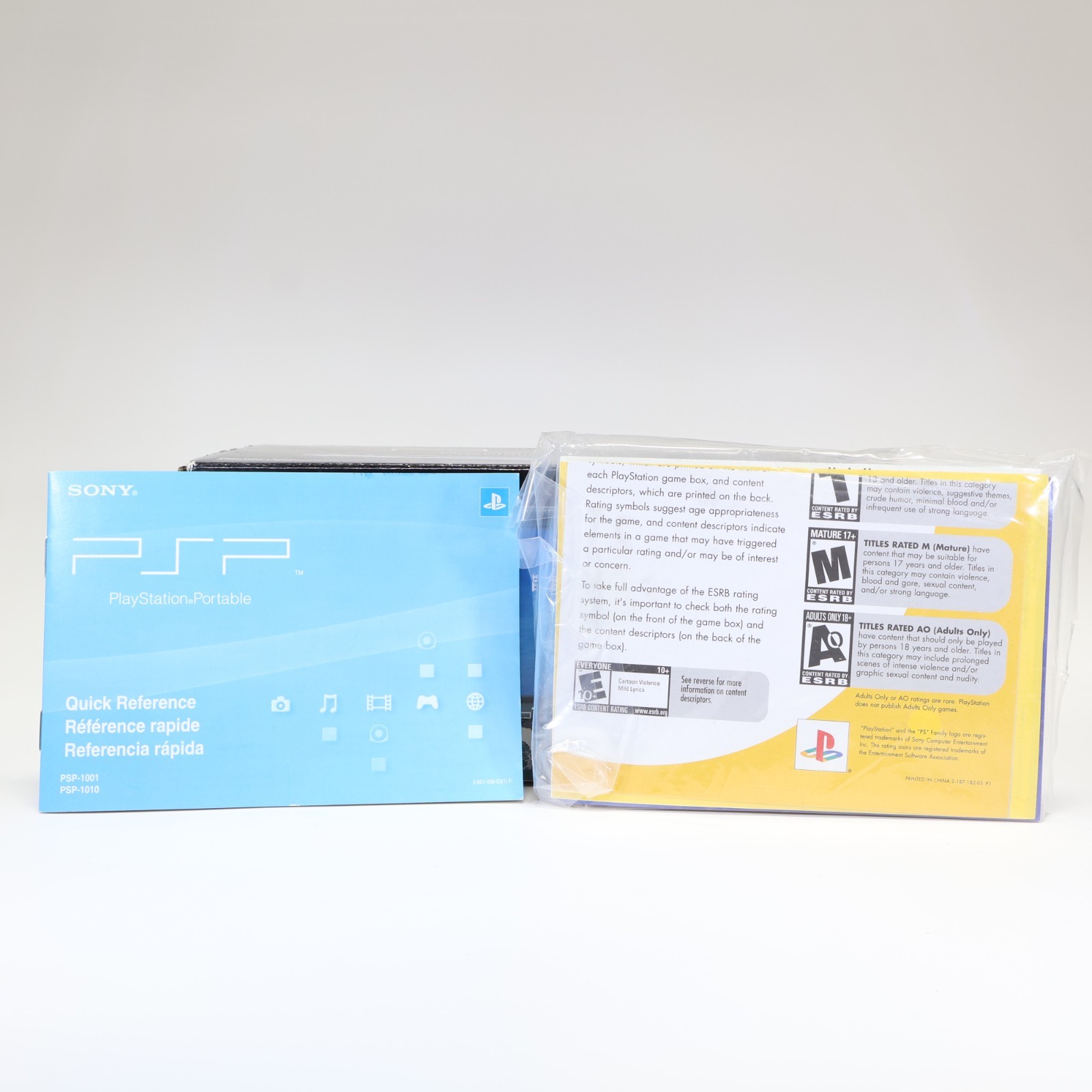 Sony PSP 1001 Box and Manuals – Authentic Acceptable Condition