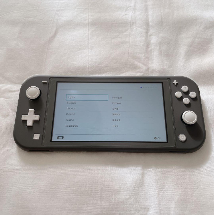Used Excellent Nintendo Switch Lite HDH-001 Gray + Genuine AC Adapter Japan F/S