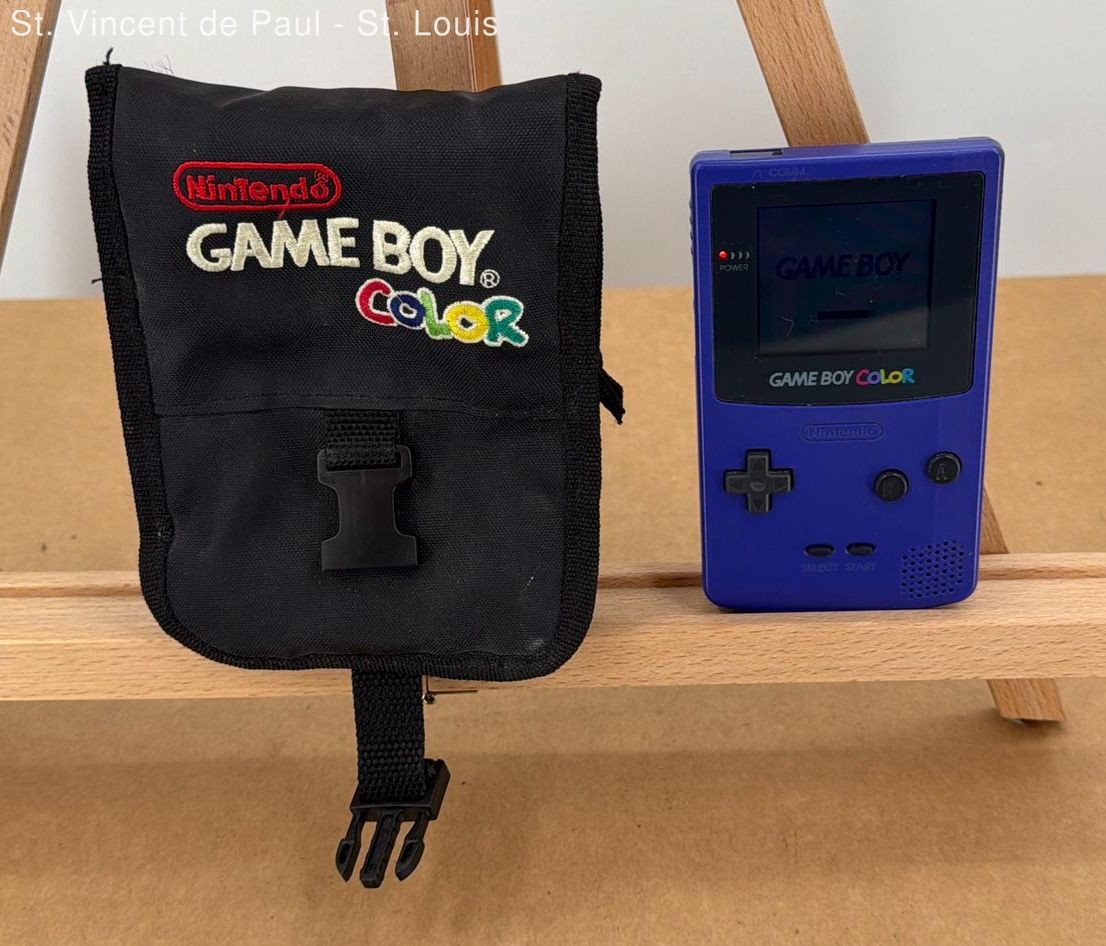 Nintendo Game Boy Color Handheld Grape/Purple Tested Working with Carrying Case