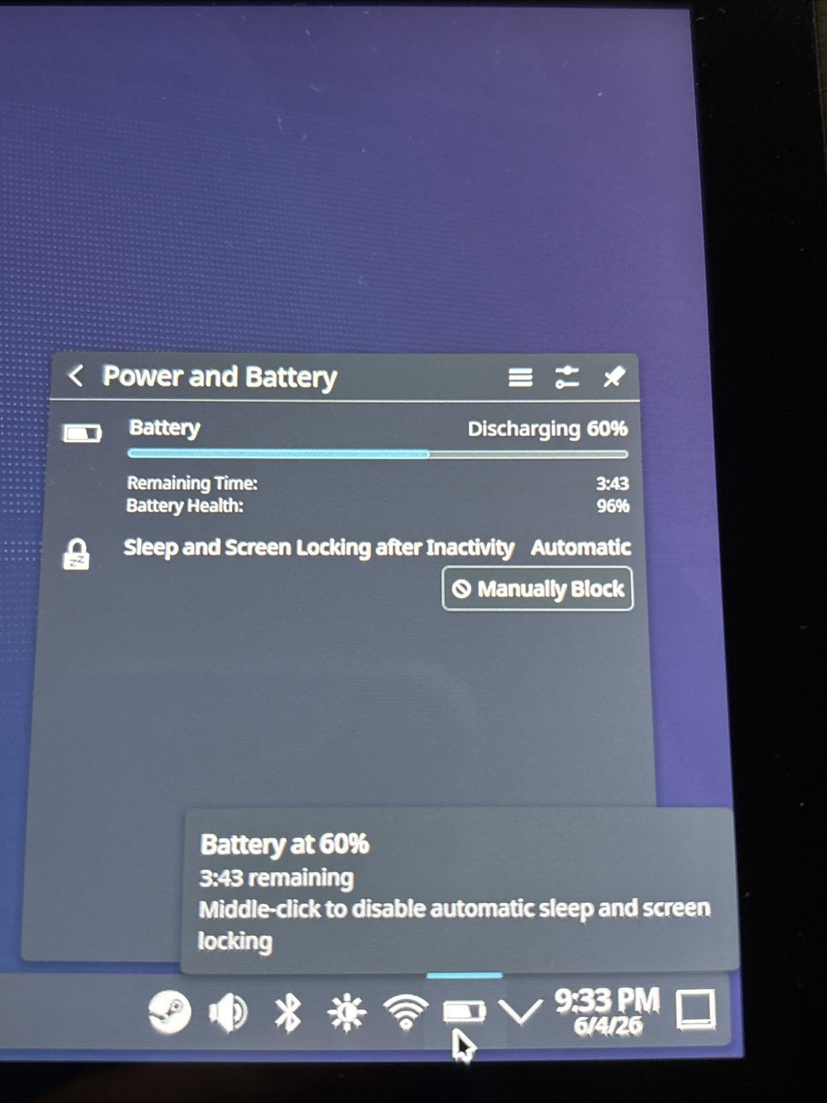 Valve Steam Deck LCD 1TB (upgraded from 256) with Extra Case