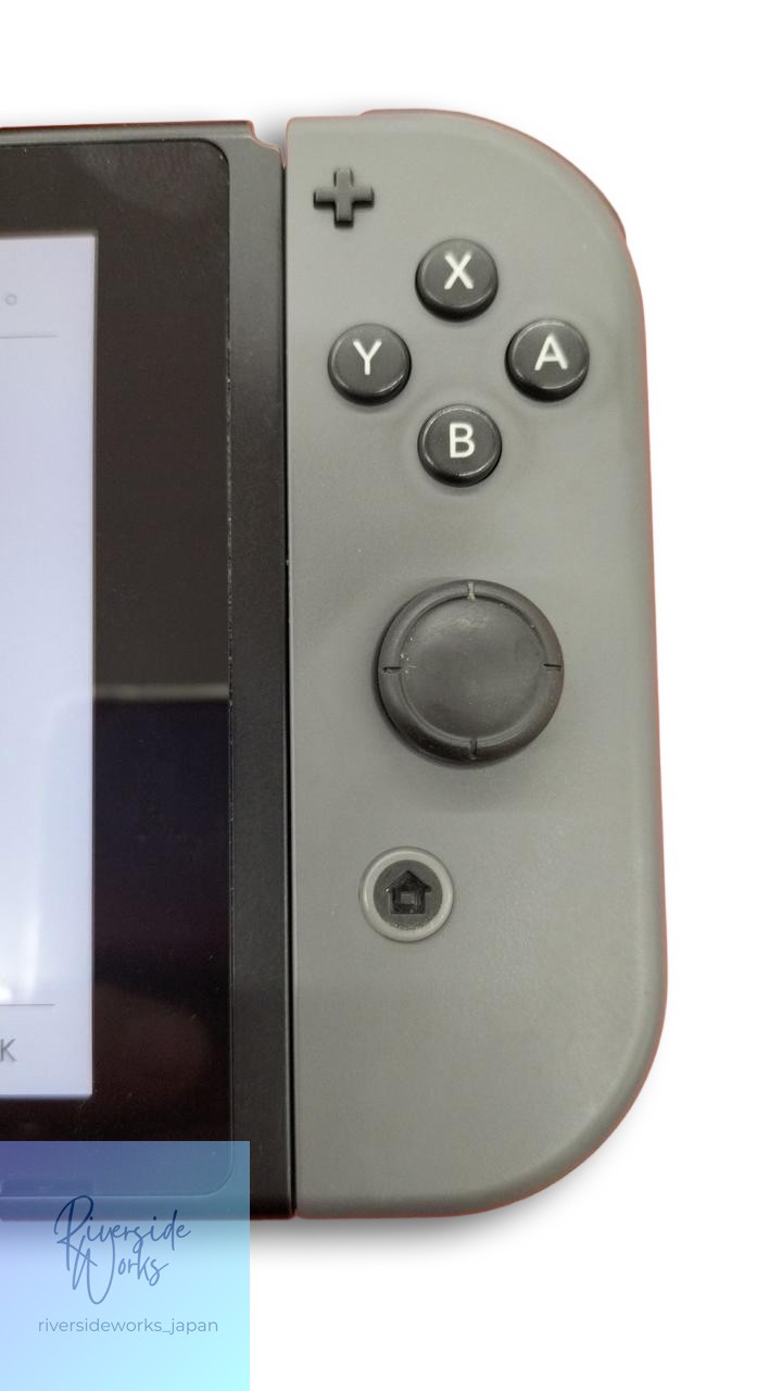 Nintendo Switch HAC-001 Console Model (-01)