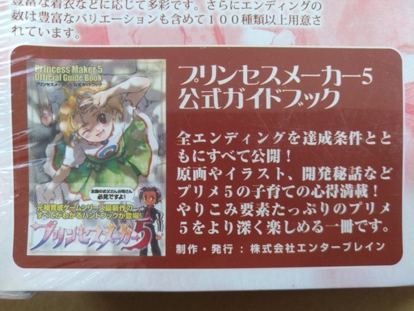 PC Windows DVD-ROM Princess Maker 5 with official guidebook (strategy book