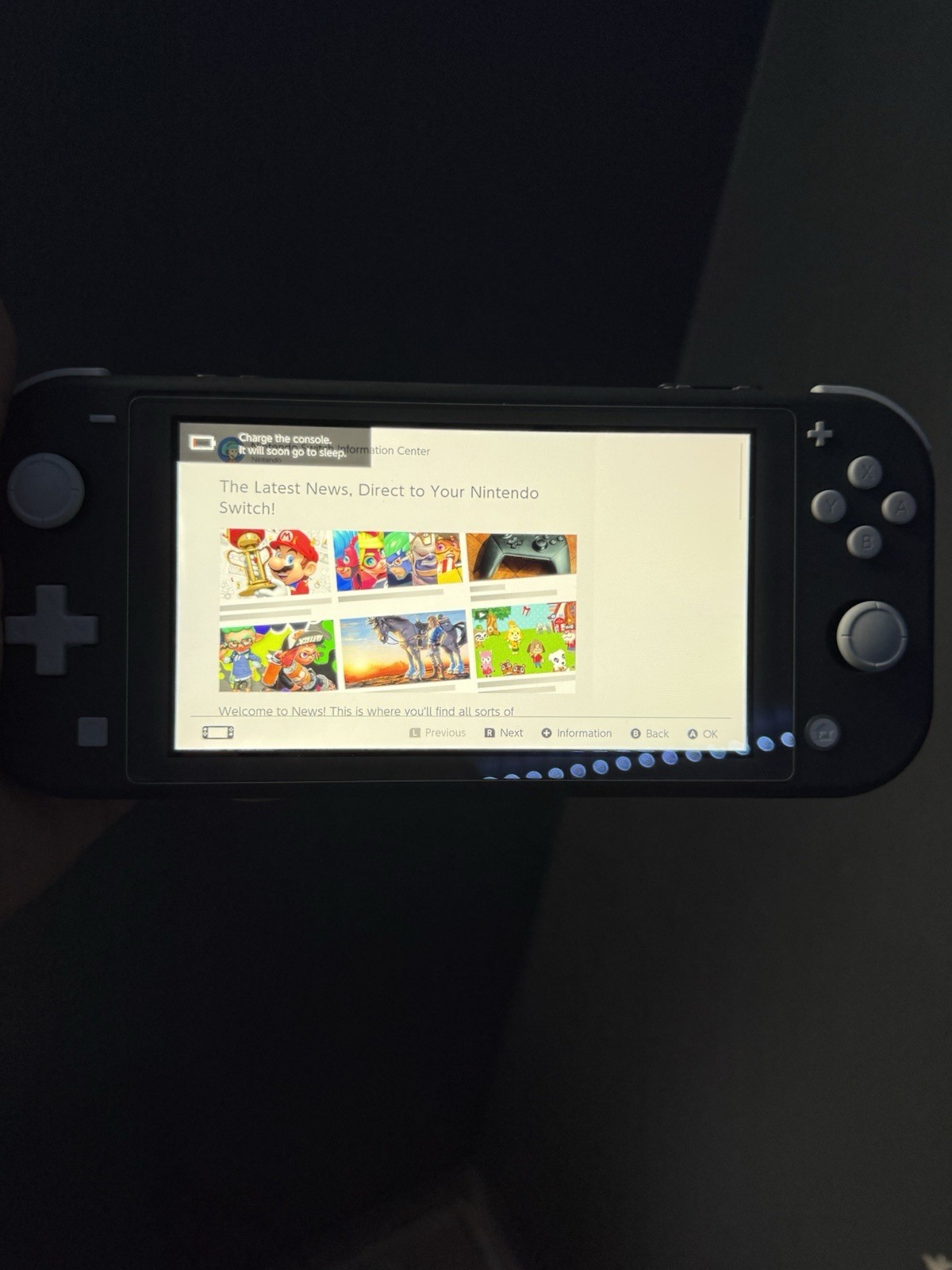 Nintendo Switch Lite Gray Handheld System